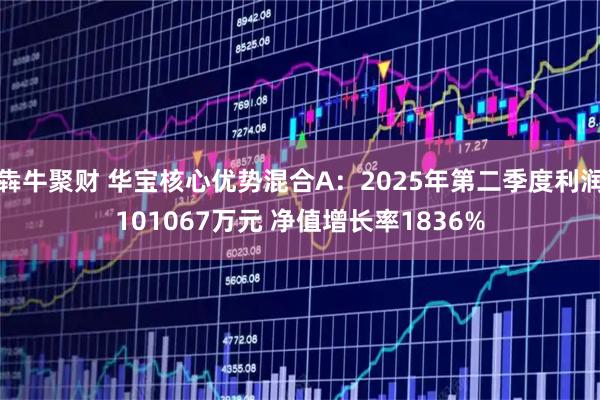 犇牛聚财 华宝核心优势混合A:2025年第二季度利润101067万元 净值增长率1836%