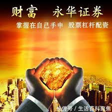 成都股票配资:专业实盘配资杠杆-泰康百亿试点资金已完成首笔交易！从谨慎买到积极布局 2220亿险资长钱入市逻辑渐清晰